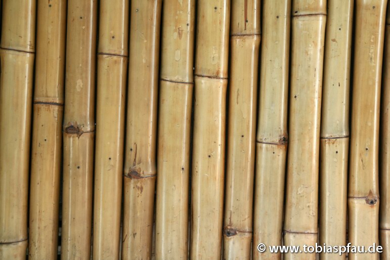 Bambusrohre, Stangen als Hintergrund - 
