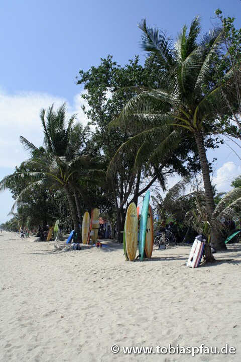 Surfbretter an tropischem Strand - 