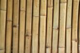 Bambusrohre, Stangen als Hintergrund