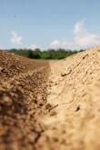 Trockene Erde / dried Soil